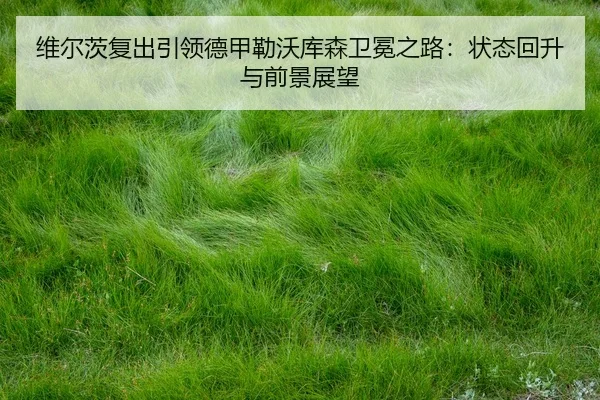 wei-er-ci-fu-chu-yin-ling-de-jia-lei-wo-ku-sen-wei-mian-zhi-lu-zhuang-tai-hui-sheng-yu-qian-jing-zhan-wang-3-919.jpg